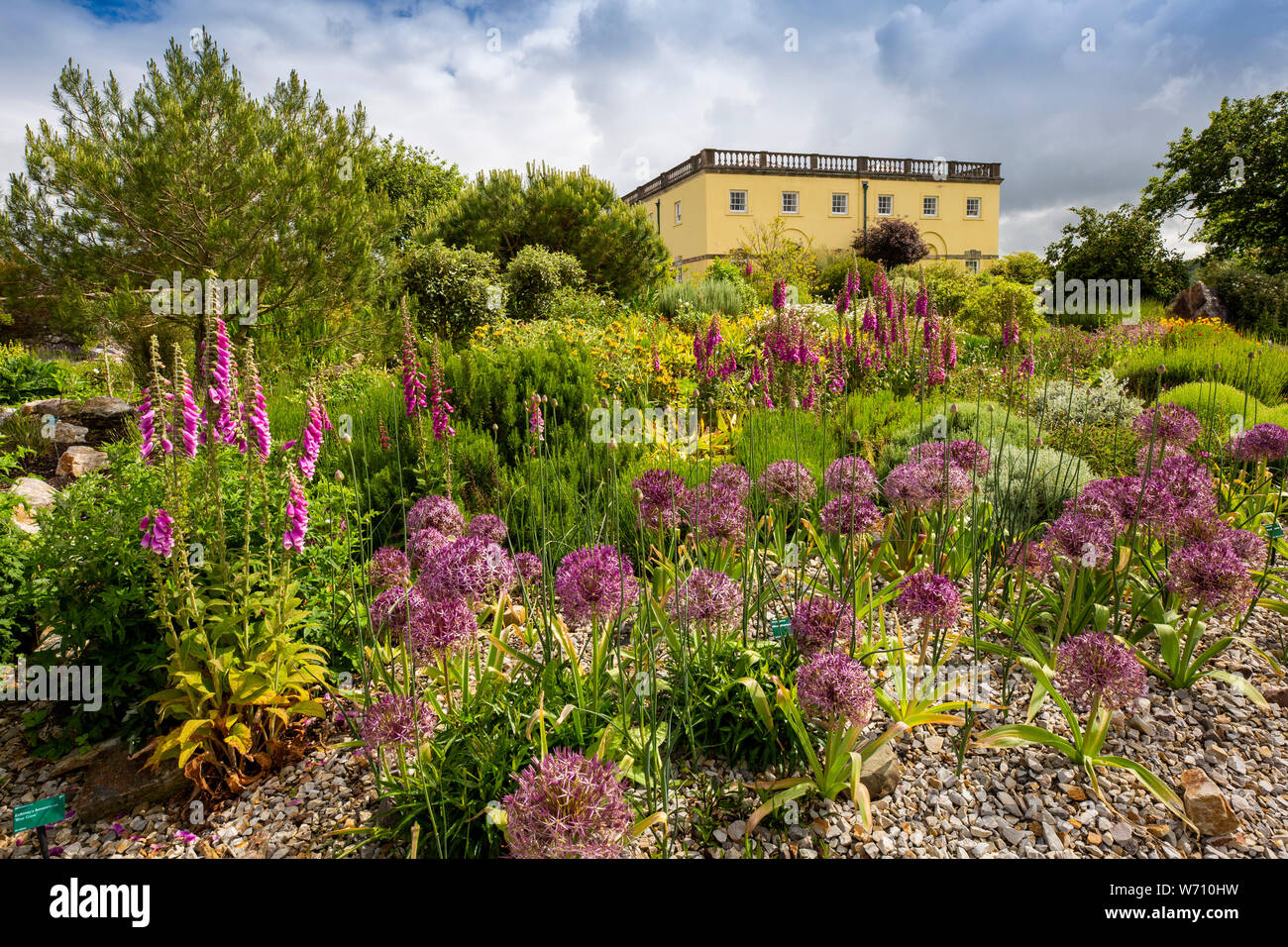 UK, Wales, Carmarthenshire, Llanarthney, National Botanic Garden of Wales, Principlity House, Regency property and floral planting Stock Photo