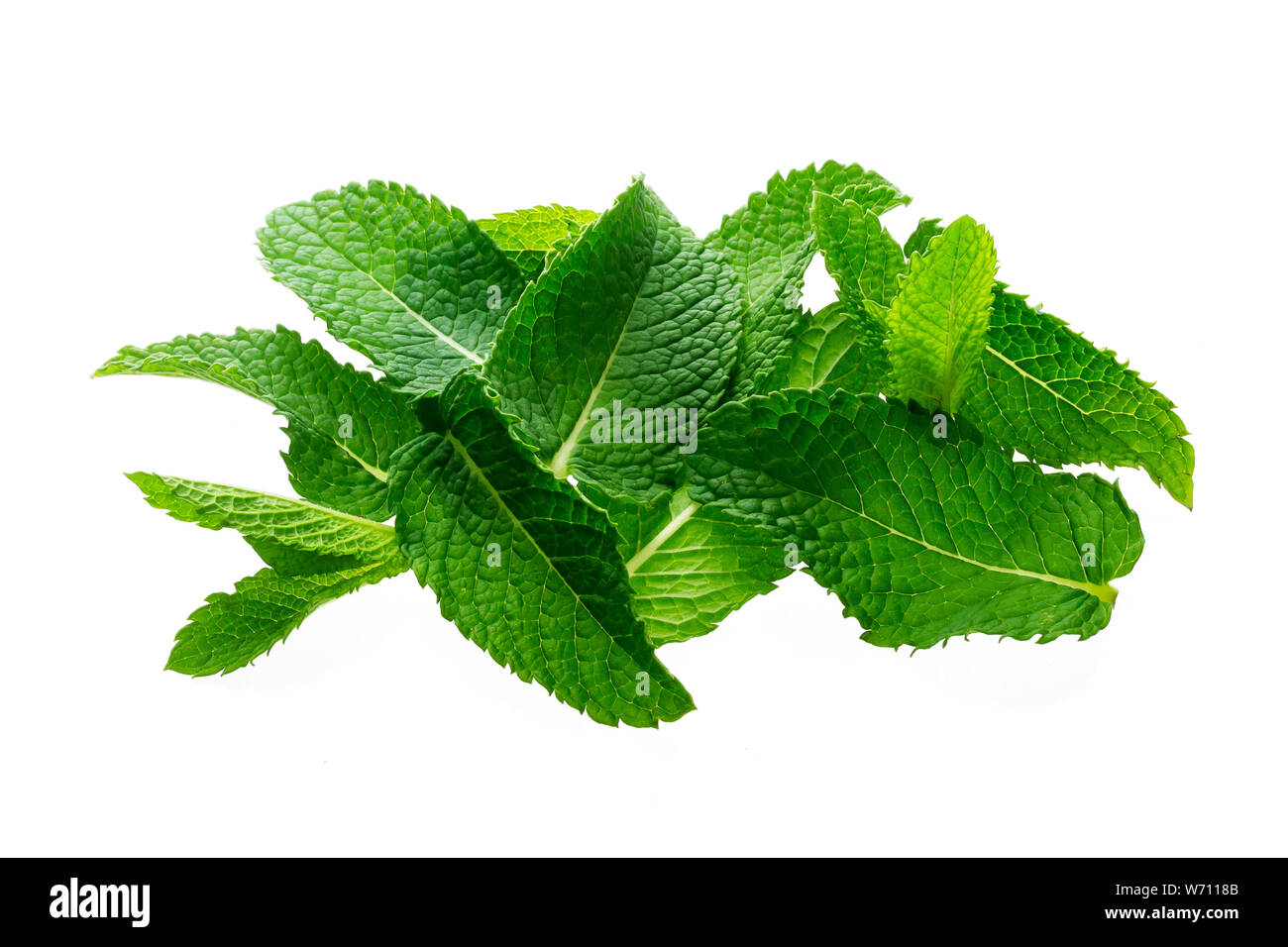 Pile of mint leaves isolated on white background with clipping path ...