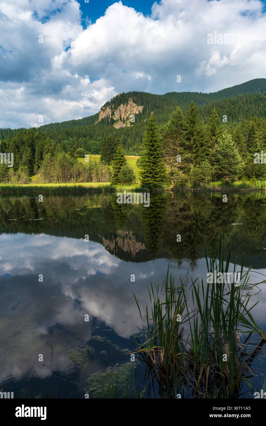 Landscape with lake and forest. Mountain range Stock Photo - Alamy