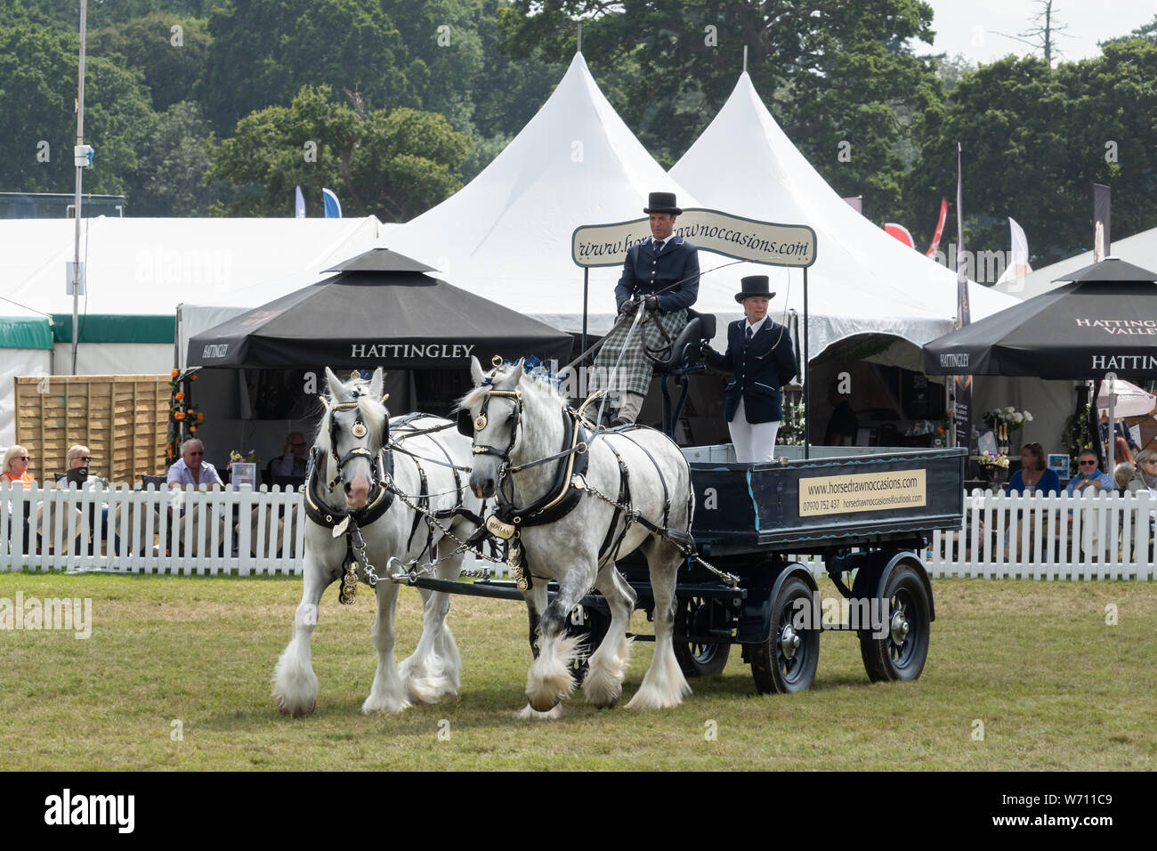 New Forest and Hampshire County Show 2019 - The Heavy Horse Musical Parade taking place in the main arena Stock Photo