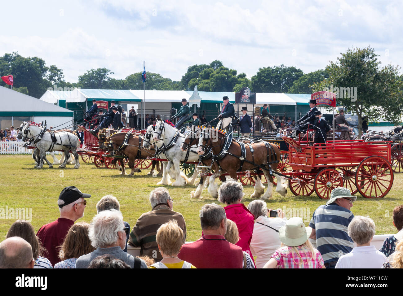 New Forest and Hampshire County Show 2019 - The Heavy Horse Musical Parade taking place in the main arena Stock Photo