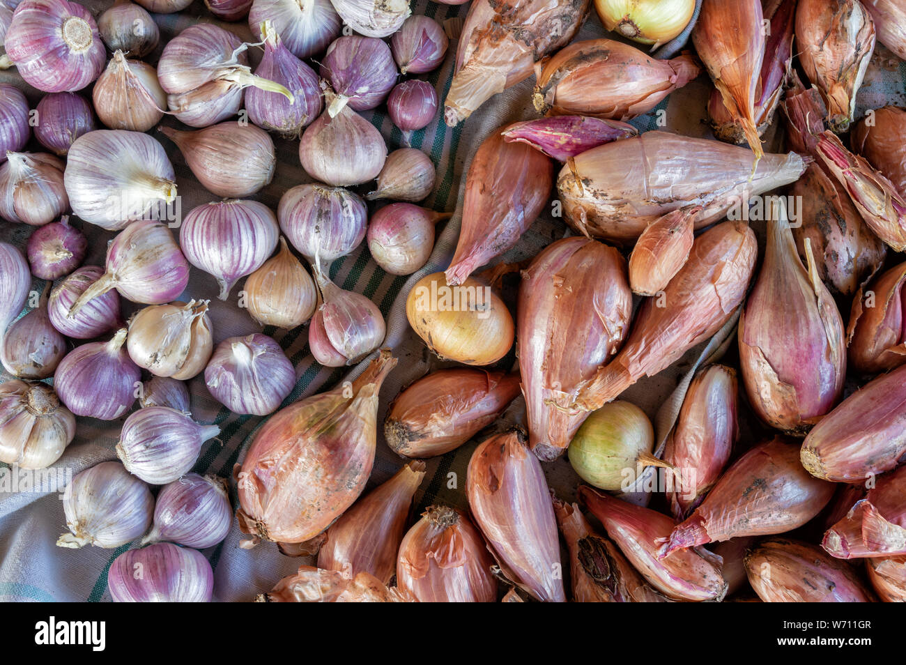 Top view on organic harvest of onions and garlic lying on linen cloth Stock Photo