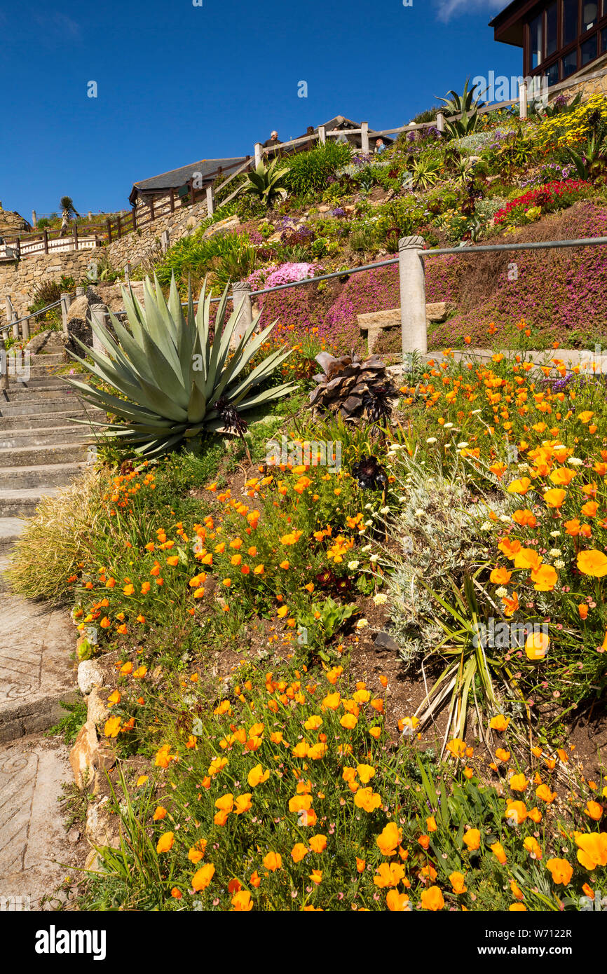 UK, England, Cornwall, Porthcurno, Minack Theatre, terraced garden, created by Rowena Cade and gardener Billy Rawlings, colourful sub-tropical floral Stock Photo