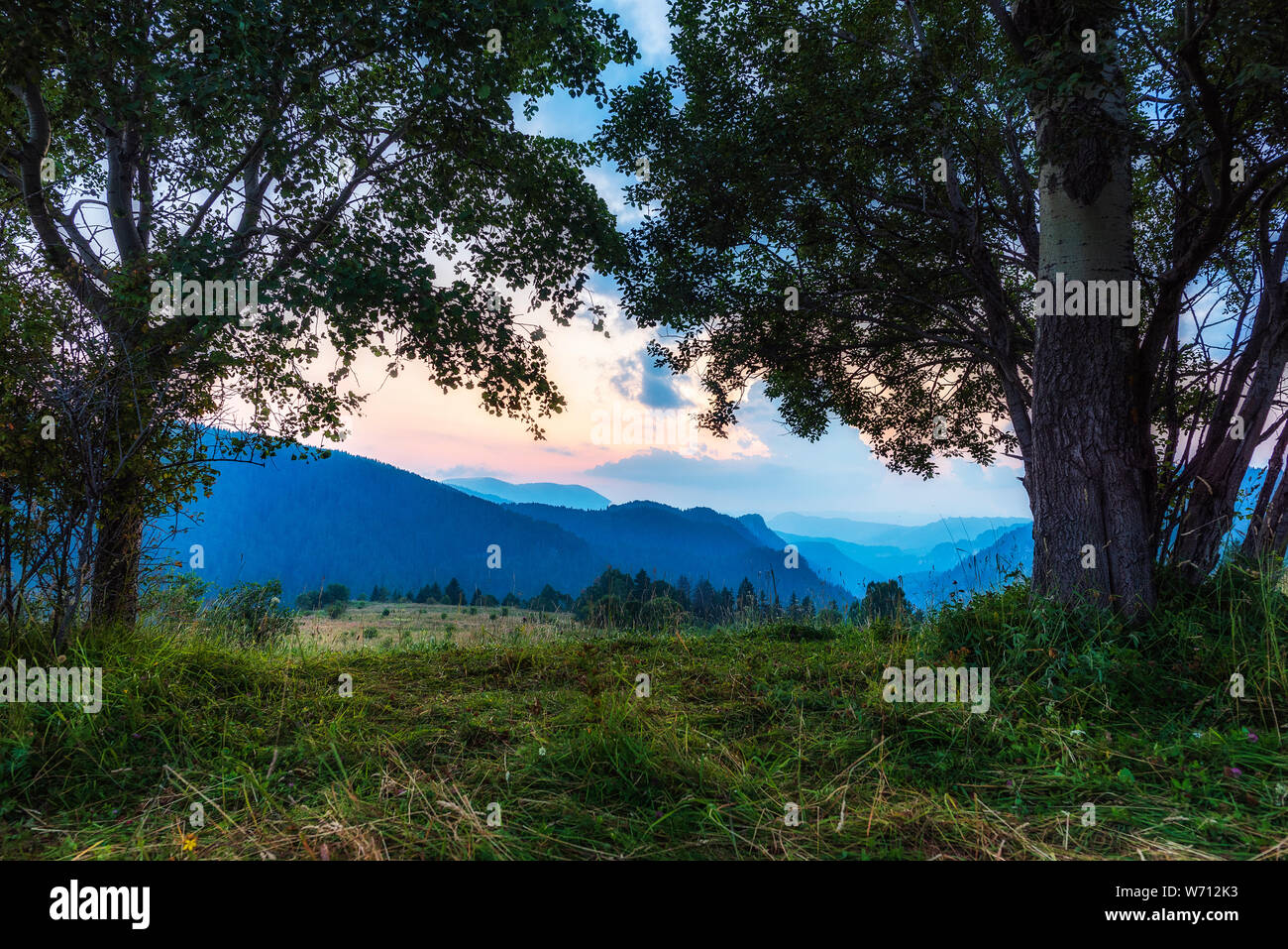 Park summer sun tree mountain hi-res stock photography and images - Alamy