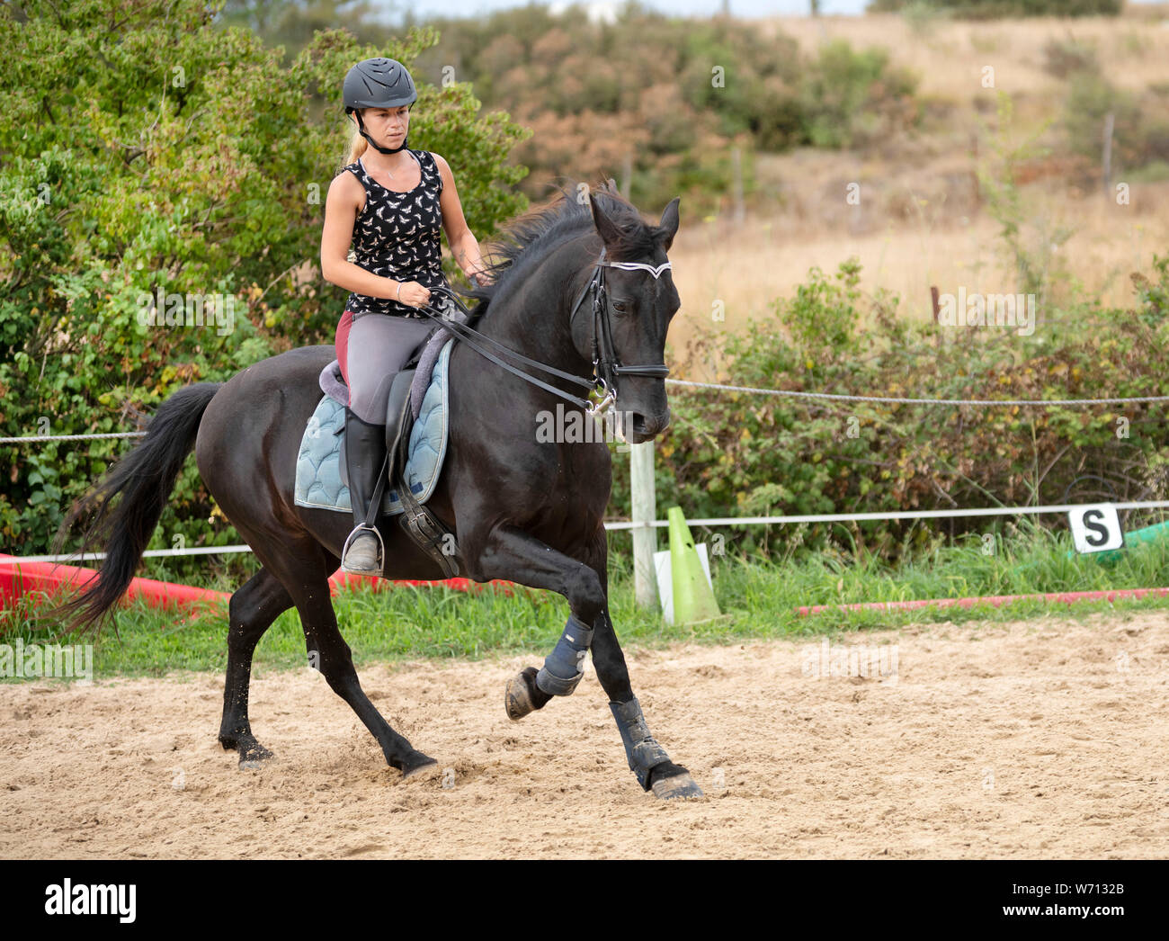 riding girl are training her young horse Stock Photo - Alamy