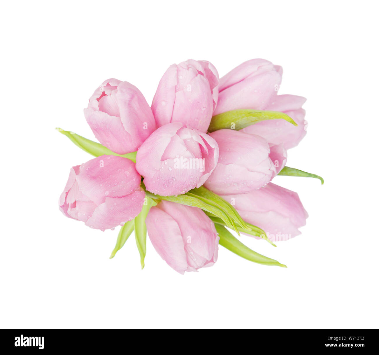 Bouquet of pink tulips flowers isolated on white background Stock Photo ...