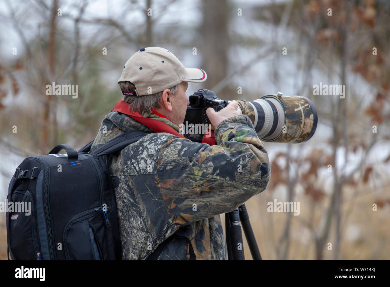 Bird photographer with great camera optics looks for birds Stock Photo
