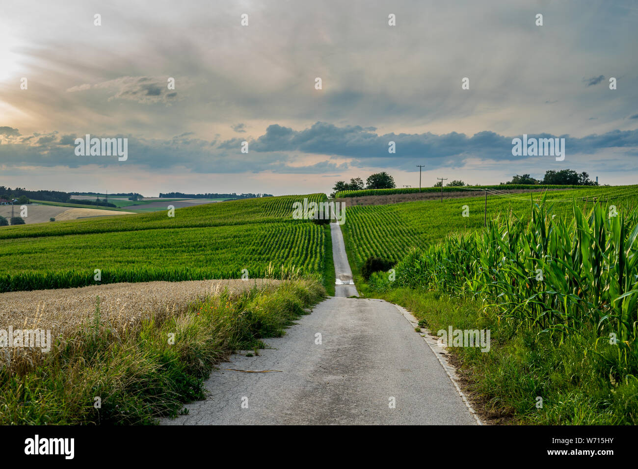 long path on bavarian field with cloudy sky Stock Photo