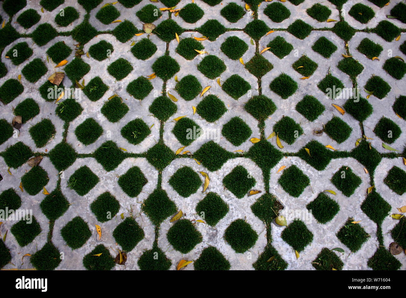 Floor And Ground With Bricks Block And Grass Background In Garden