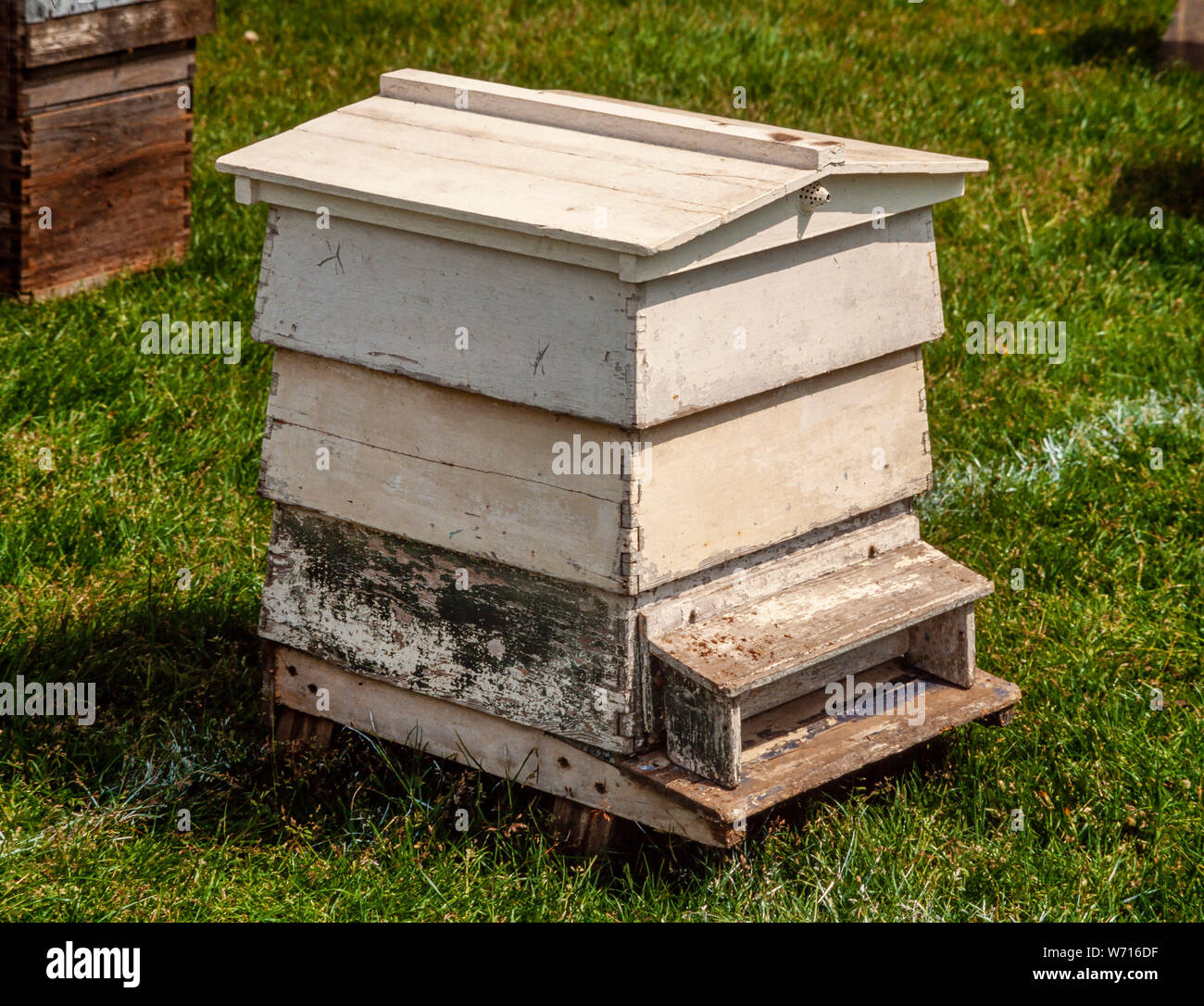 Wooden beehive, painted white Stock Photo