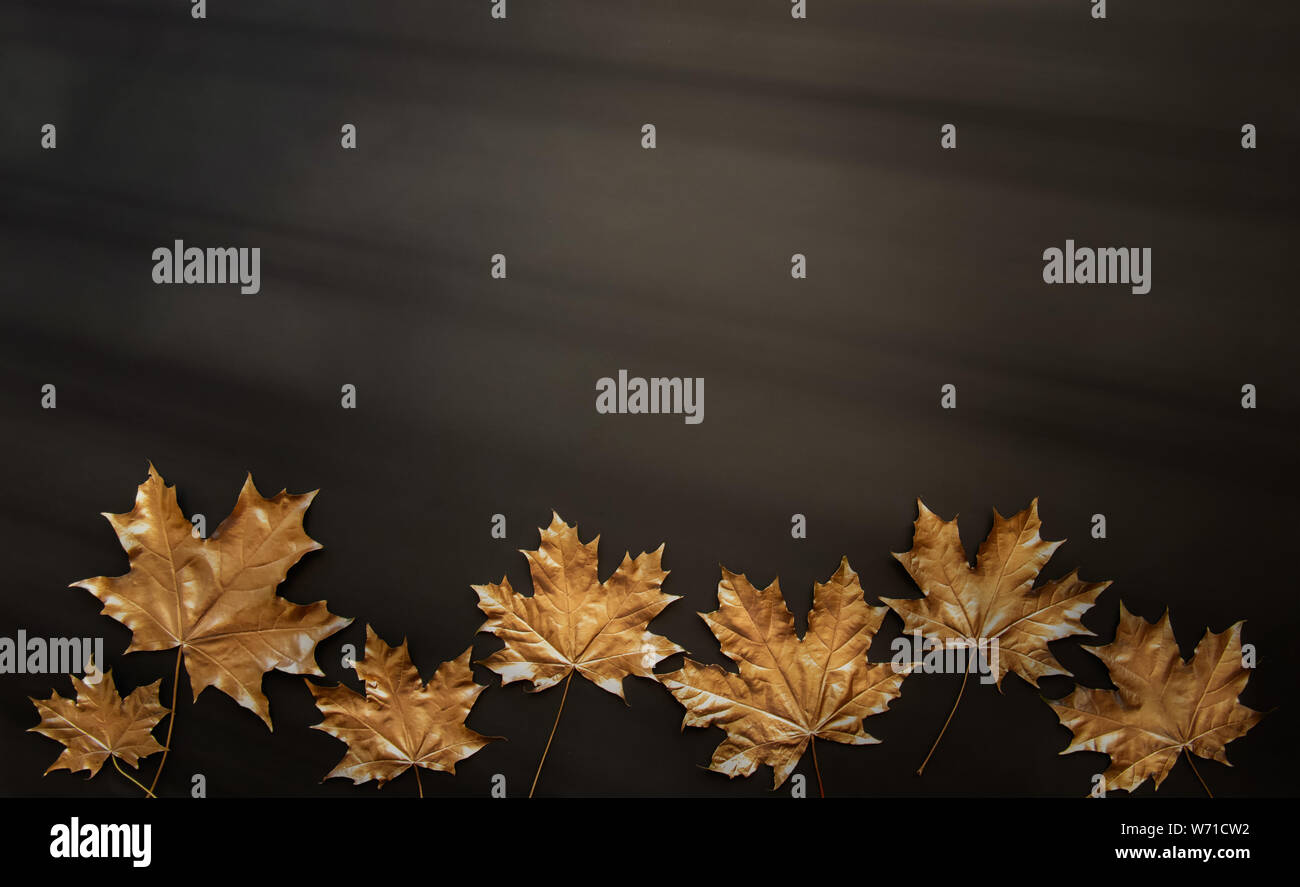 Golden maple leaves on a black background. Autumn background. Flat lay ...