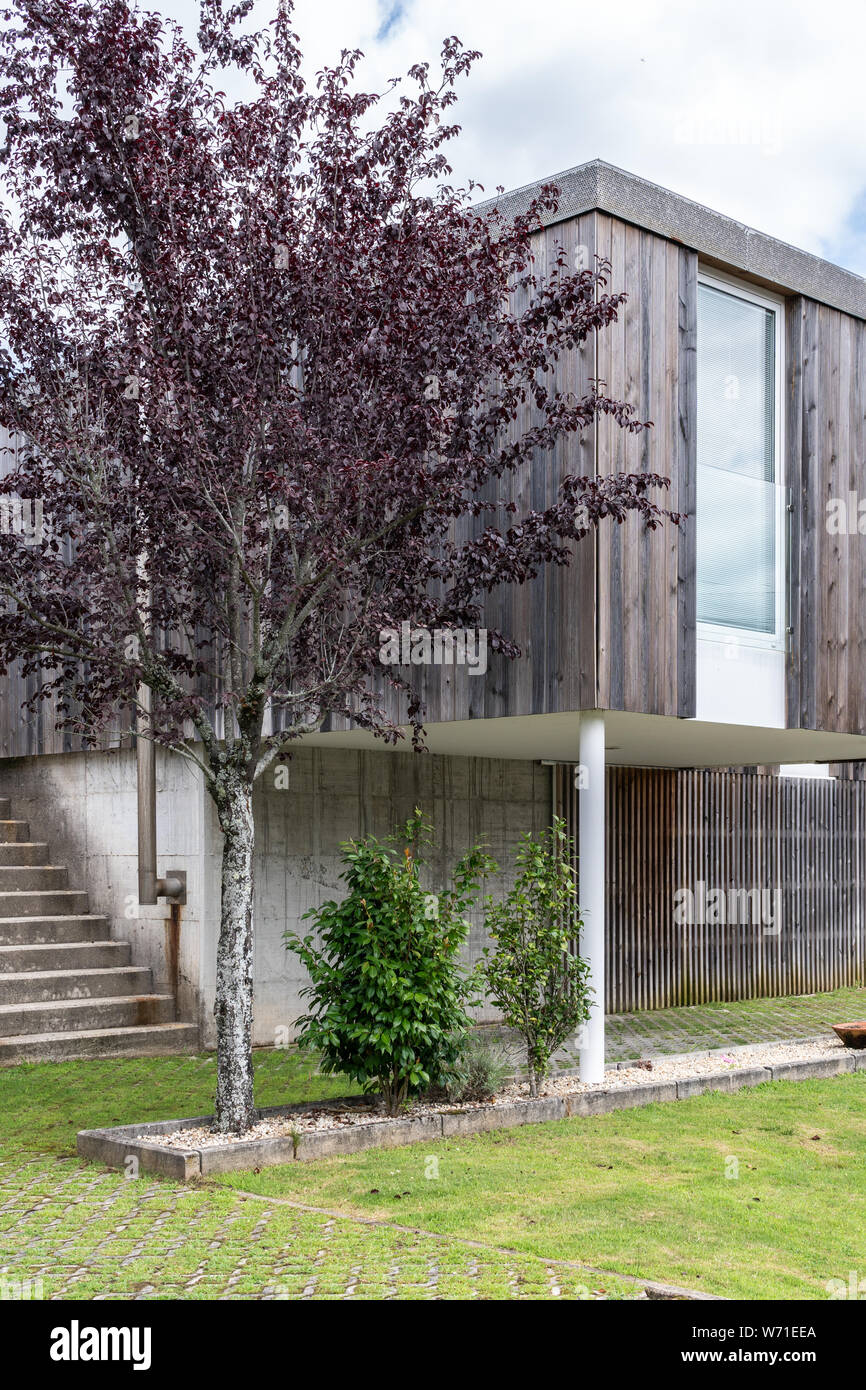 Modern House with wood cladding. Modern architecture Stock Photo