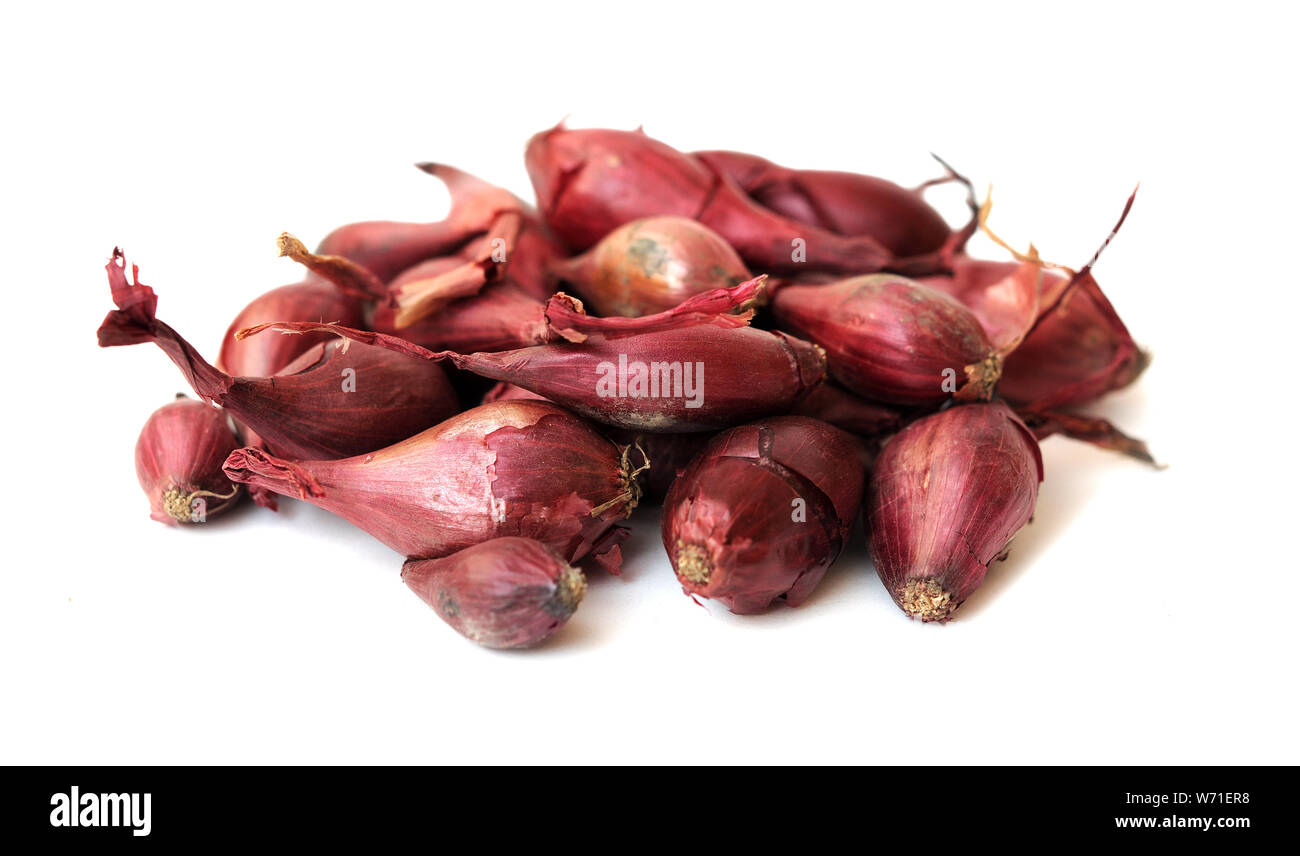 many tiny onion roots ready for planting Stock Photo Alamy