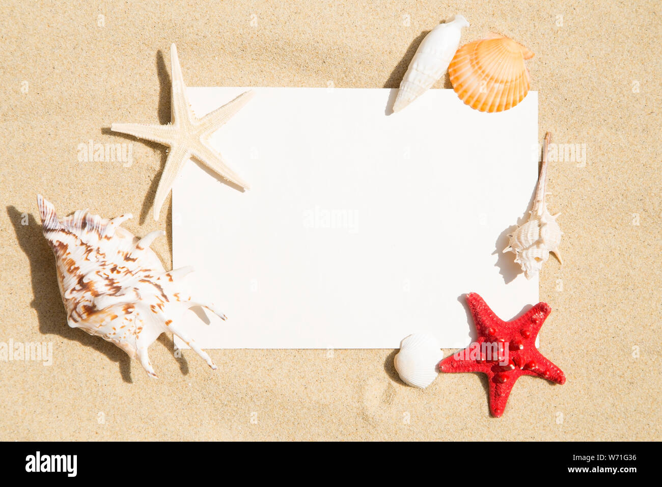Blank vintage images with seashels on sand background Stock Photo