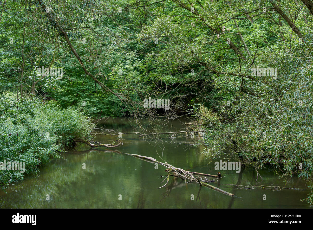 Bystrzyca River in summer Lower Silesia Poland Stock Photo