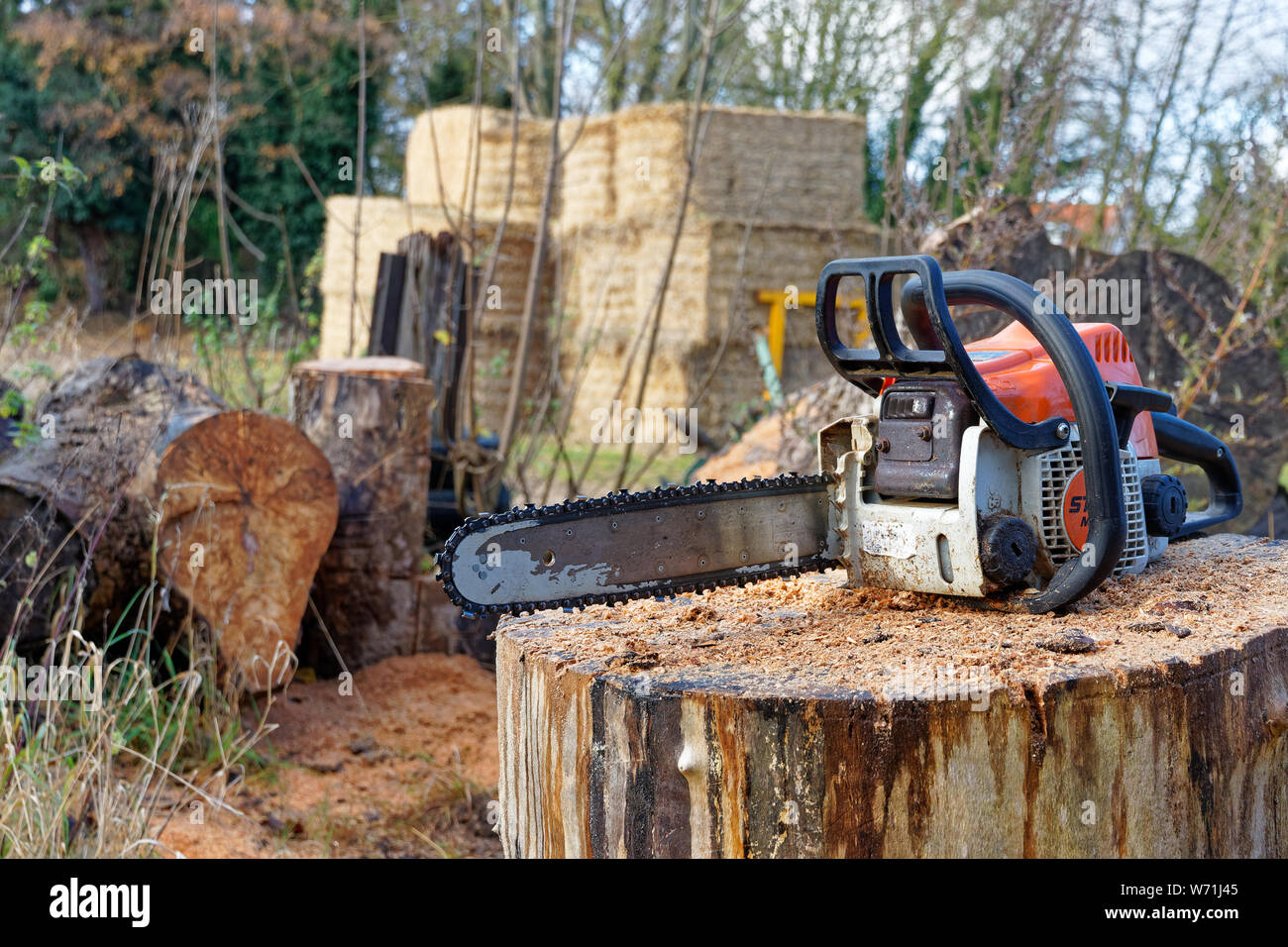 A well used Stihl MS180 chainsaw sat on a sawdust covered log near a wood heap Stock Photo