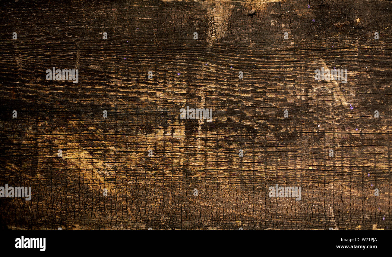 Old dark shabby boards with rusty nails. Selective focus. Stock Photo