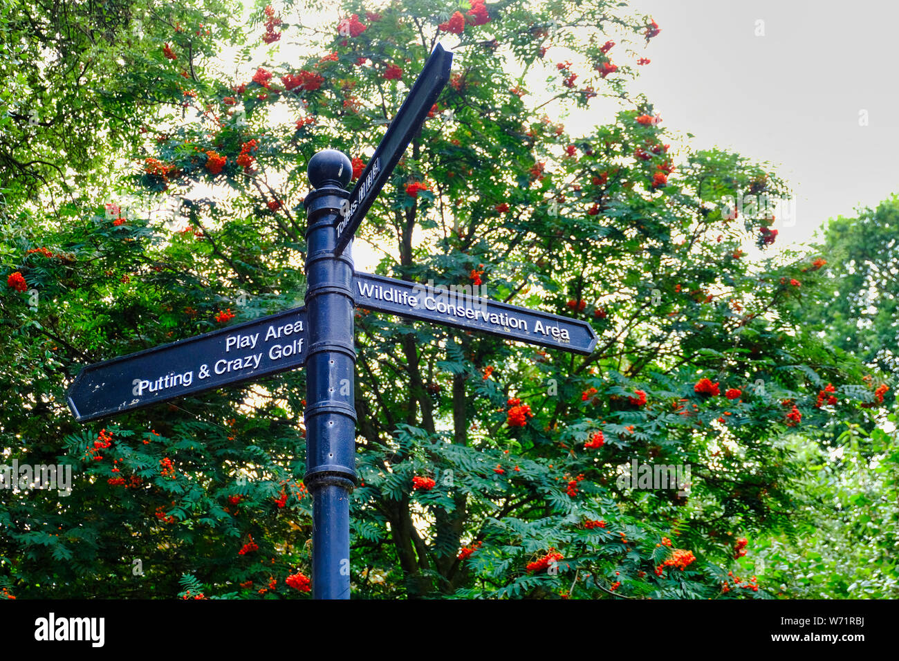 Hotham Park, Bognor Regis, W Sussex, UK. Park signpost pointing the way to play areas and a Wildlife Conservation Area.Rowan Tree (Sorbus aucuparia) Stock Photo