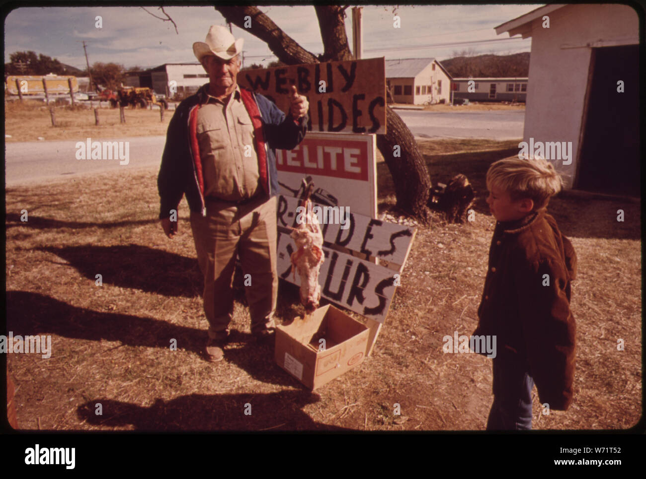 A SKINNED POSSUM SHOWN BY ONE OF THE OLDEST TRAPPERS IN TEXAS, THE TOWN