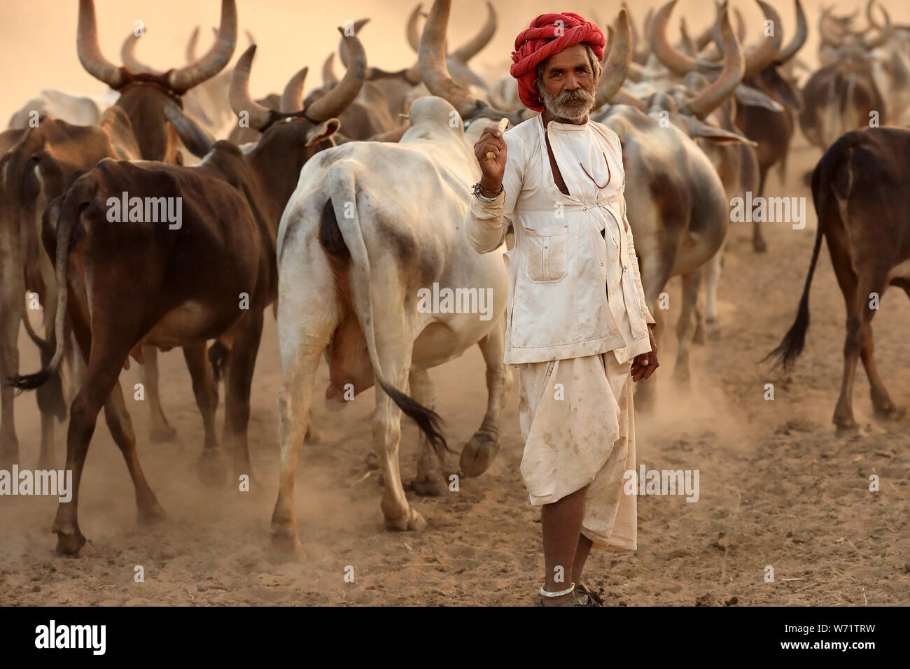 Rabari herder in a rural village in the district of Kutch, Gujarat. The Kutch region is well known for its tribal life and traditional culture. Stock Photo