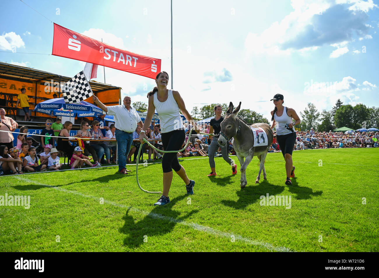 Hersbruck, Germany. 04th Aug, 2019. Members of the team around donkey ...
