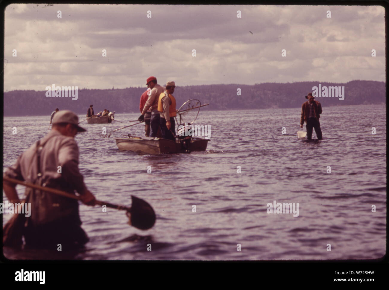 CRAB NETTING AT BRINNON TIDE FLAT ON THE HOOD CANAL BRINGS OUT LARGE CROWDS DURING THE SPRING