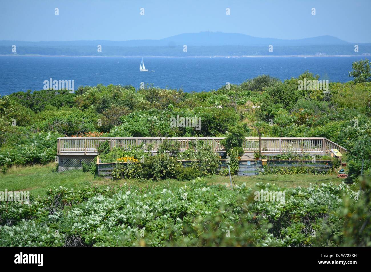 Celia thaxter hires stock photography and images Alamy