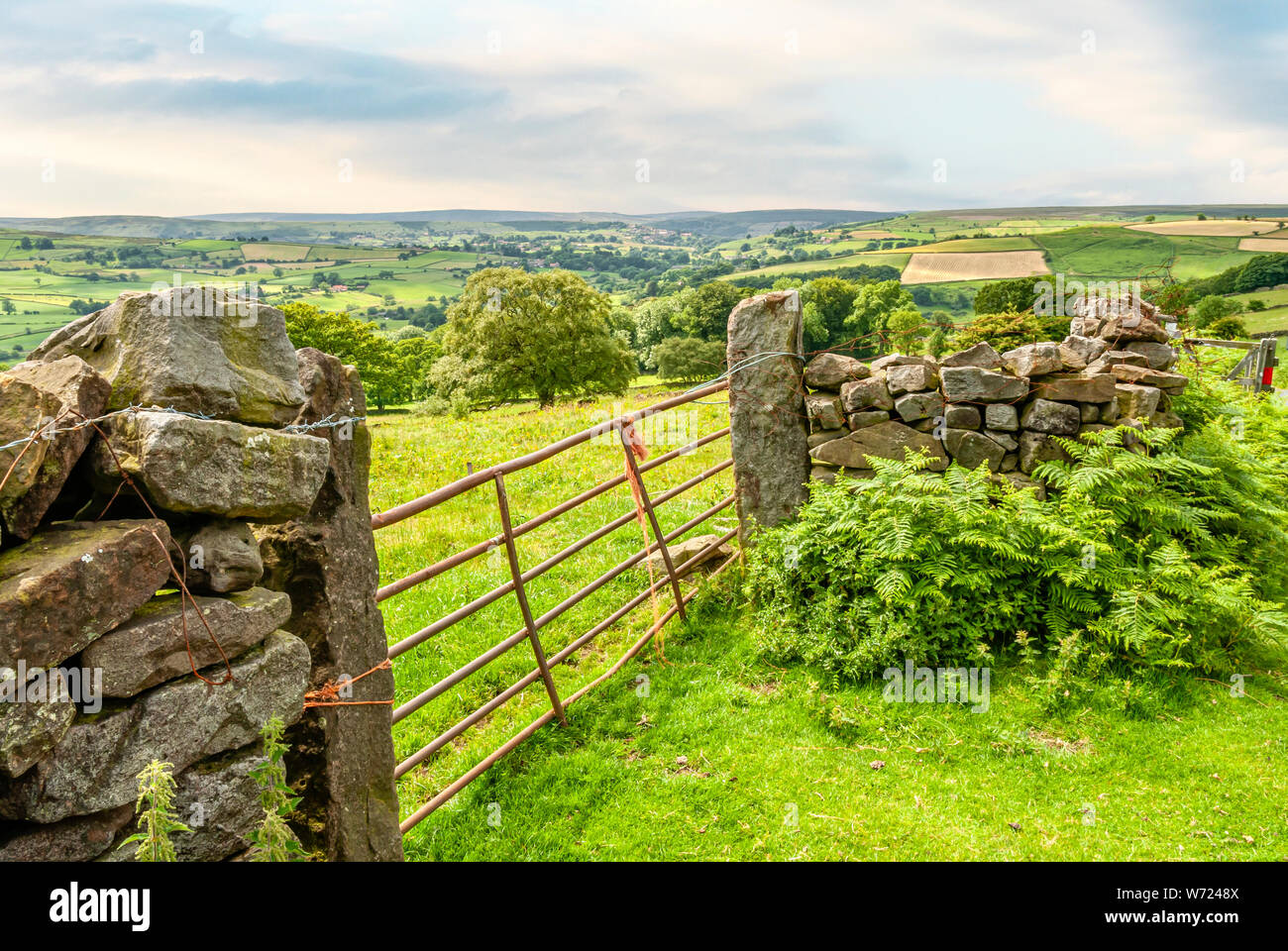 Landscape at North York Moors or North Yorkshire Moors in North Yorkshire, England Stock Photo