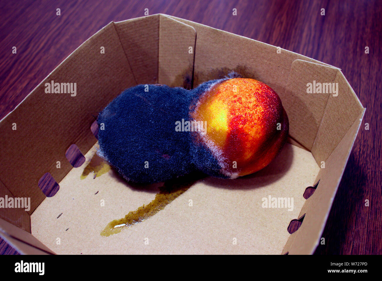 Two spoilt nectarine fruits with black and white mold. Closeup. In a