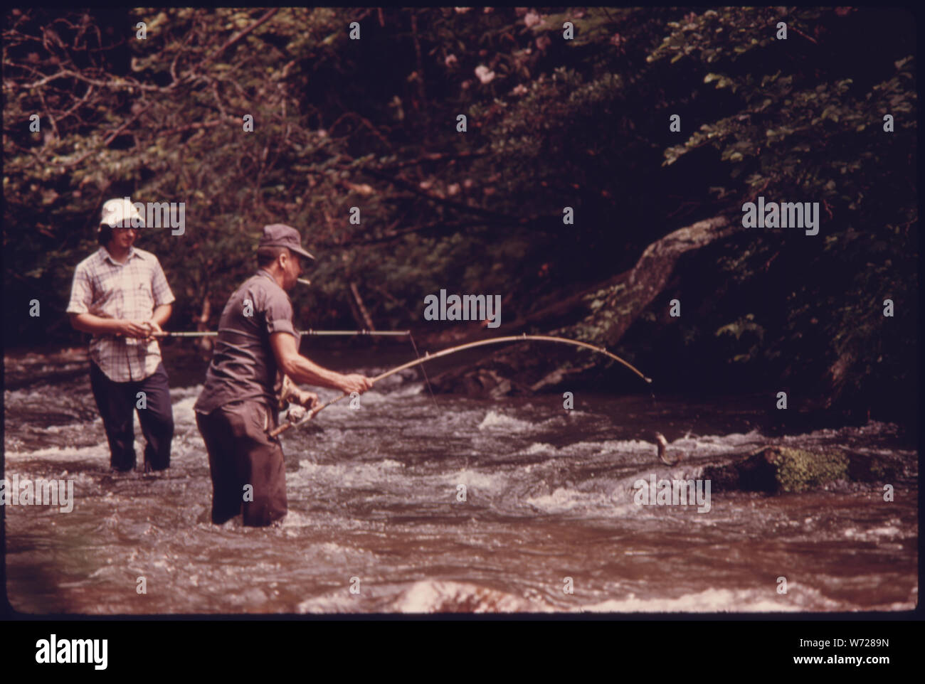 Chattahoochee National Forest Fishing