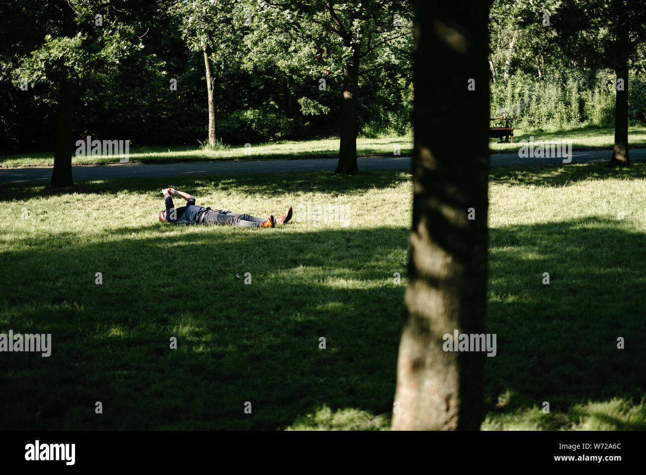 Man lying down in the park on the grass enjoying the sun while checking his smartphone. Stock Photo