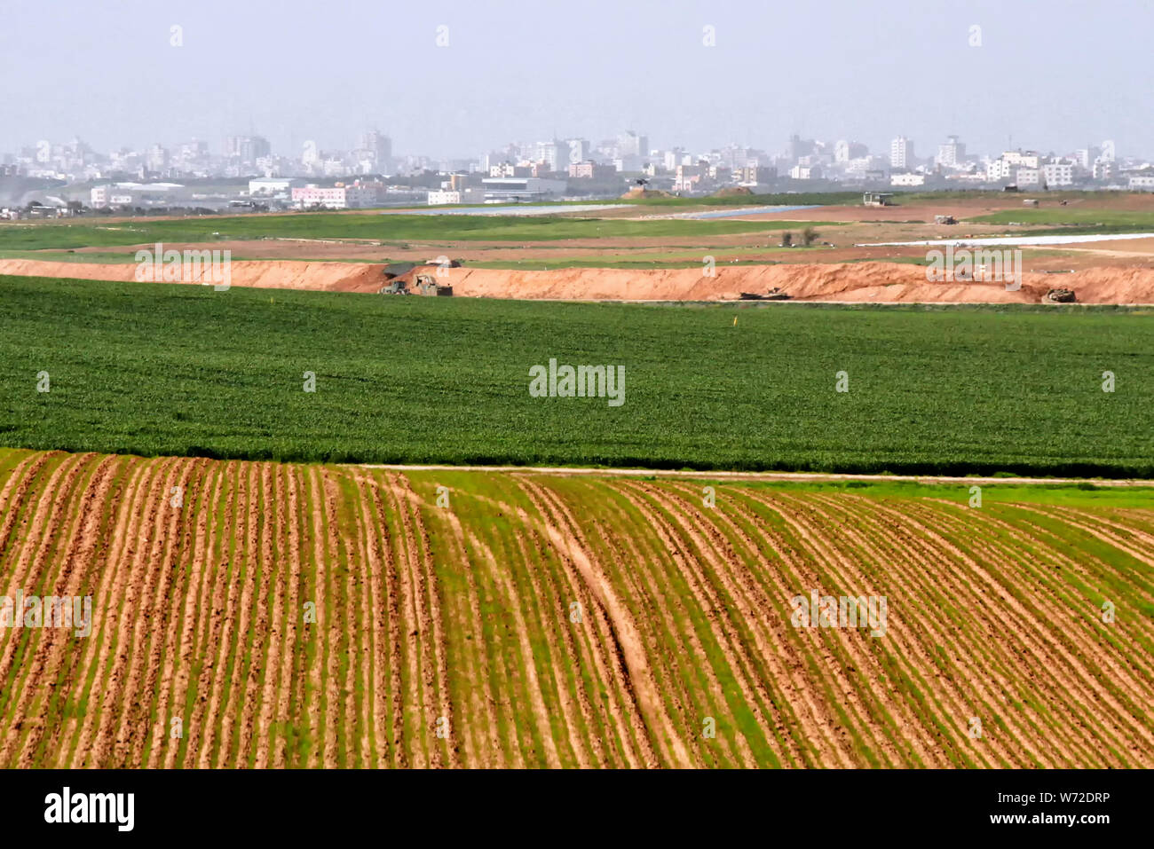 Israeli crop fields near kibbutz Mefalsim, backing up to the Gaza border, are green in Israel's mild winter. Stock Photo