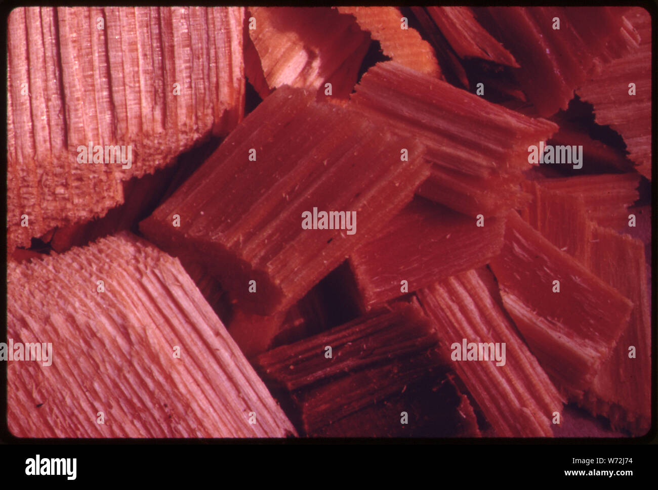 Pulp Under Microscope Pulping process hi-res stock photography and images - Alamy