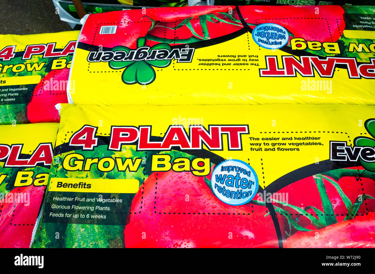 A stack of bags of Evergreen 4-Plant Grow Bag in a garden centre labelled - feeds for up to six weeks improved water retention Stock Photo