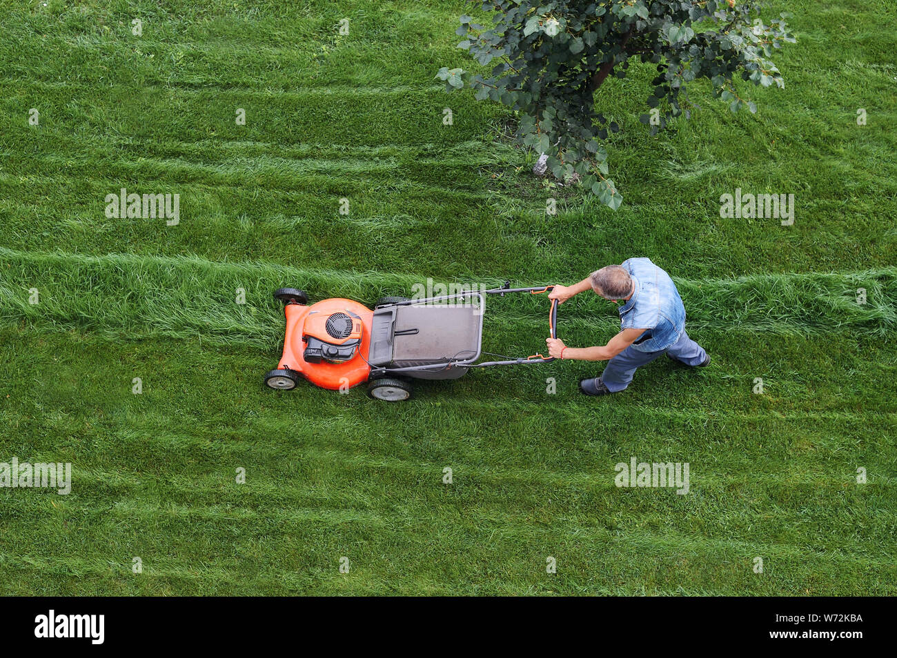 Mowing With The Great Dane 