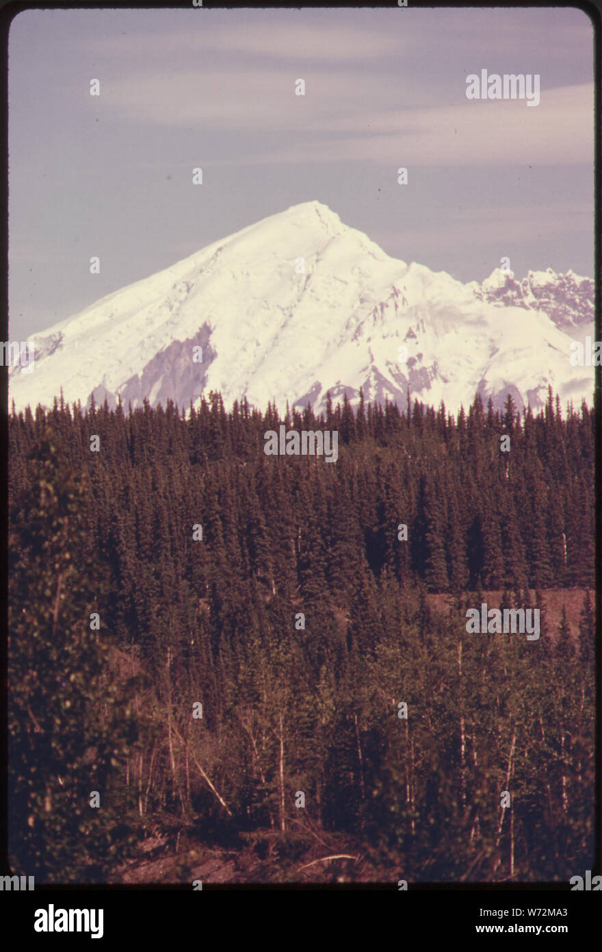 MOUNT DRUM (ELEVATION 12,002 FEET) SEEN FROM COPPER CENTER LOOKING EAST