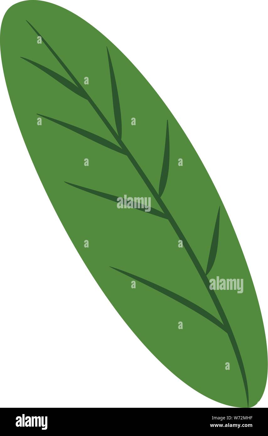 Green banana leaf icon. Cartoon of green banana leaf vector icon for web design isolated on white background Stock Vector Image & Art - Alamy Green banana leaf icon. Cartoon of green banana leaf vector icon for web design isolated on white background Stock Vector Image & Art - Alamy