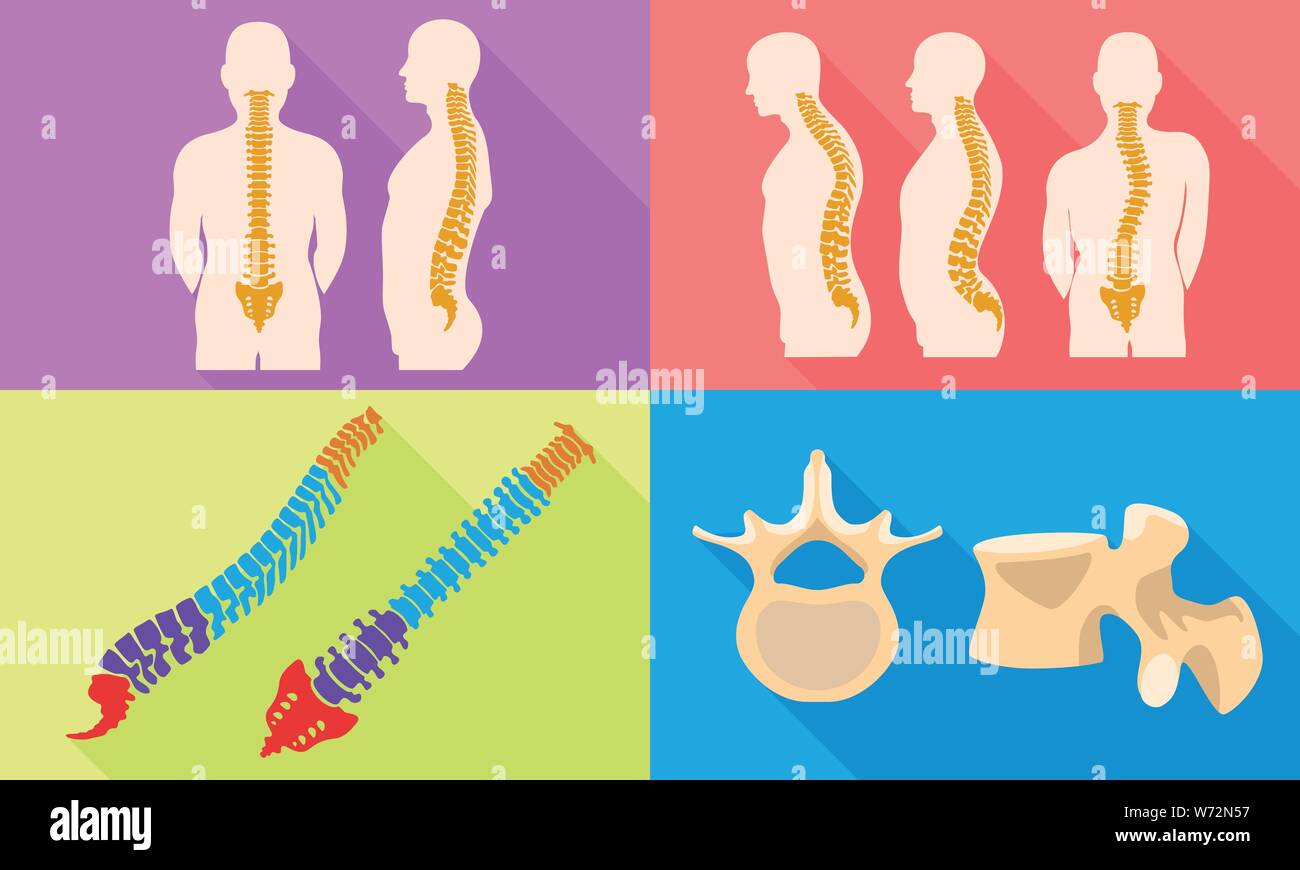 Spine icons set. Flat set of spine vector icons for web design Stock ...