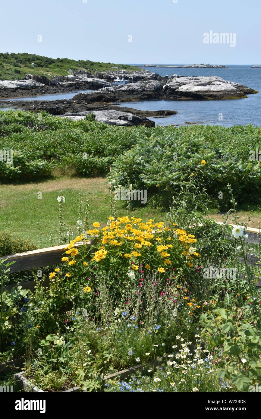 Celia thaxter hires stock photography and images Alamy