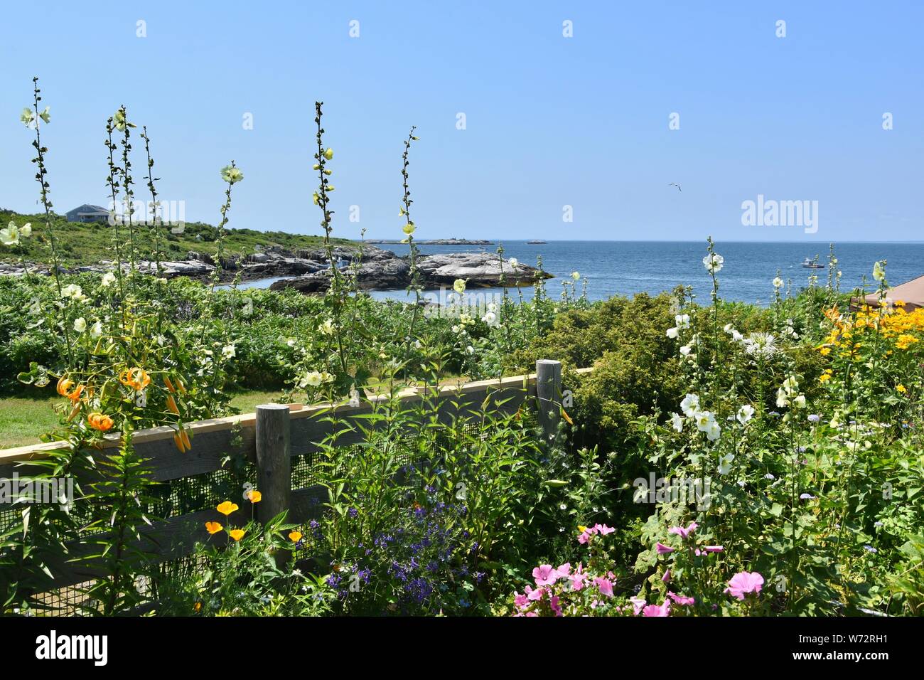 Appledore island garden hires stock photography and images Alamy