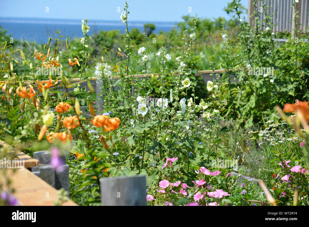 Appledore island garden hires stock photography and images Alamy