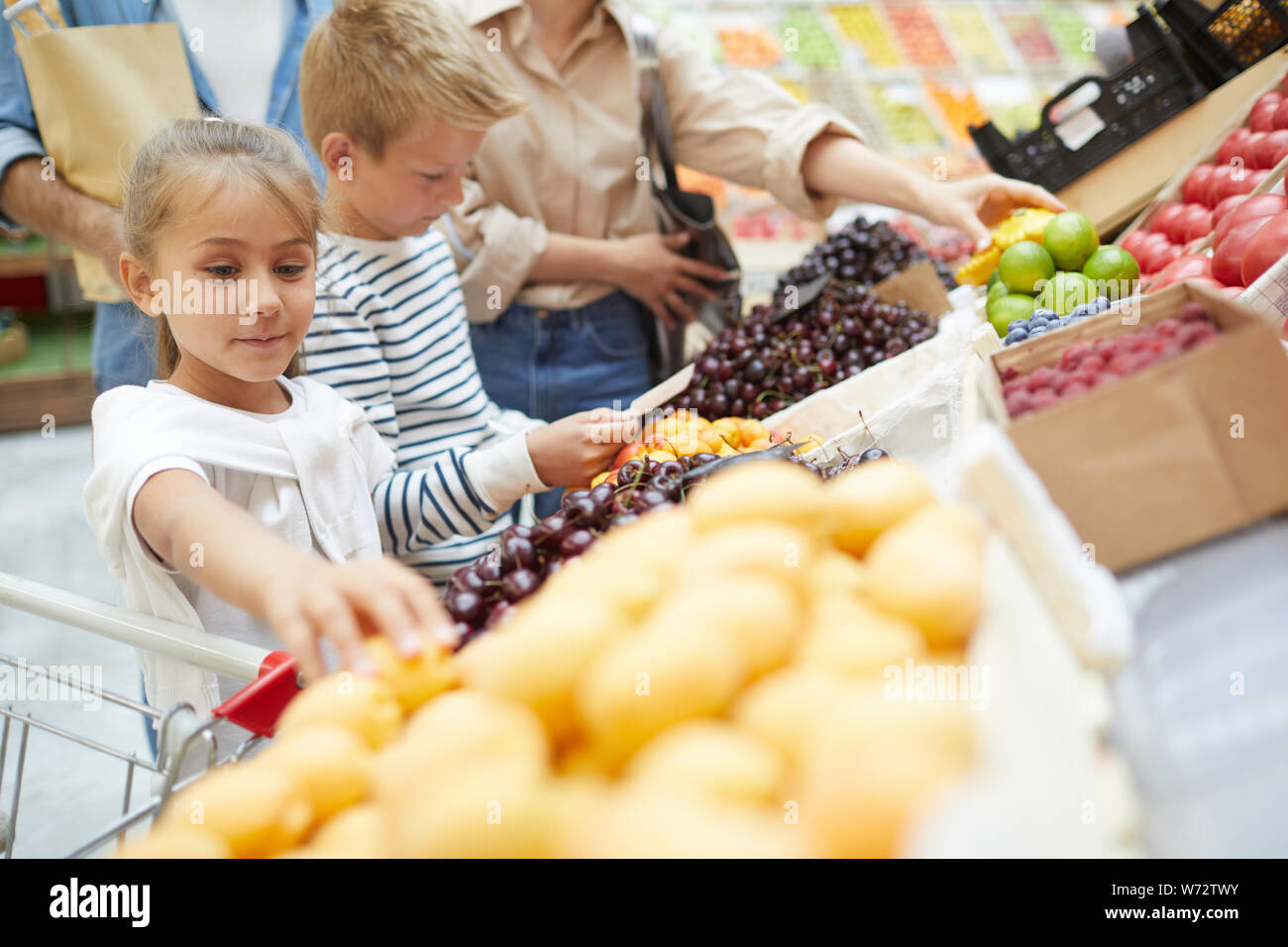 Portrait of two cute kids choosing fruits at farmers market while grocery shopping with parents, copy space Stock Photo
