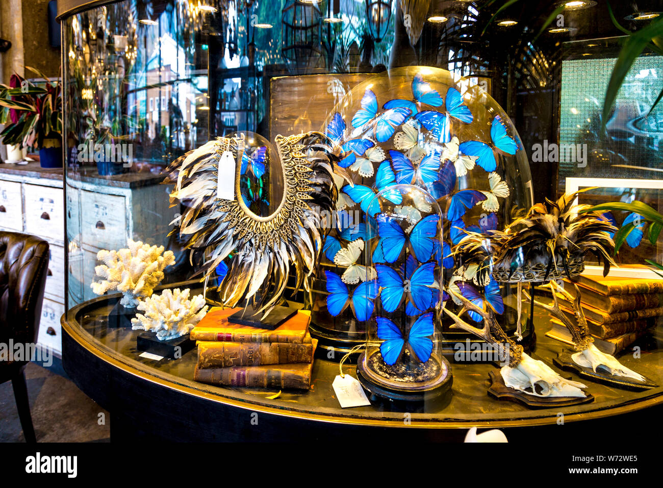 Interior of Pure White Lines Restaurant and antique shop at Mare Street Market, Hackney, London, UK Stock Photo