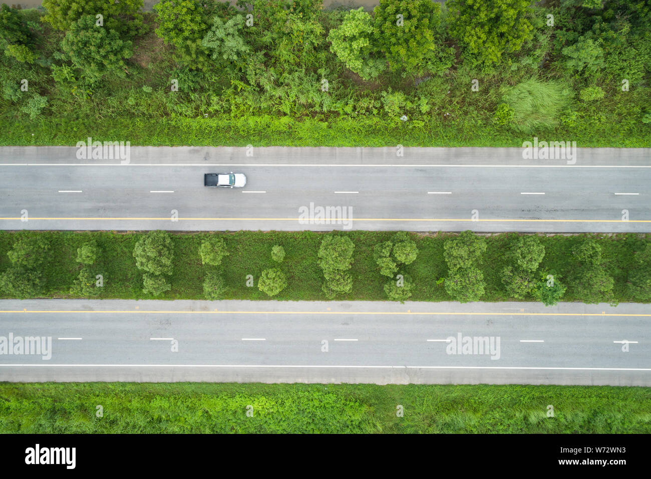 Top view asphalt road in the middle of green young rice fields Stock Photo