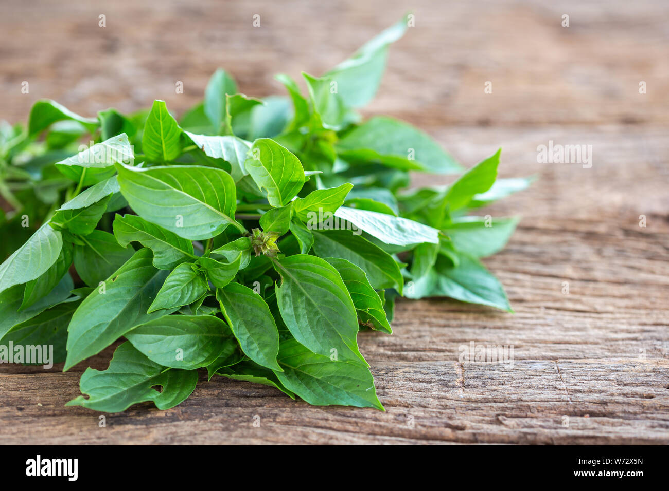 Close up fresh green basil leaf on wooden table background. Food ...