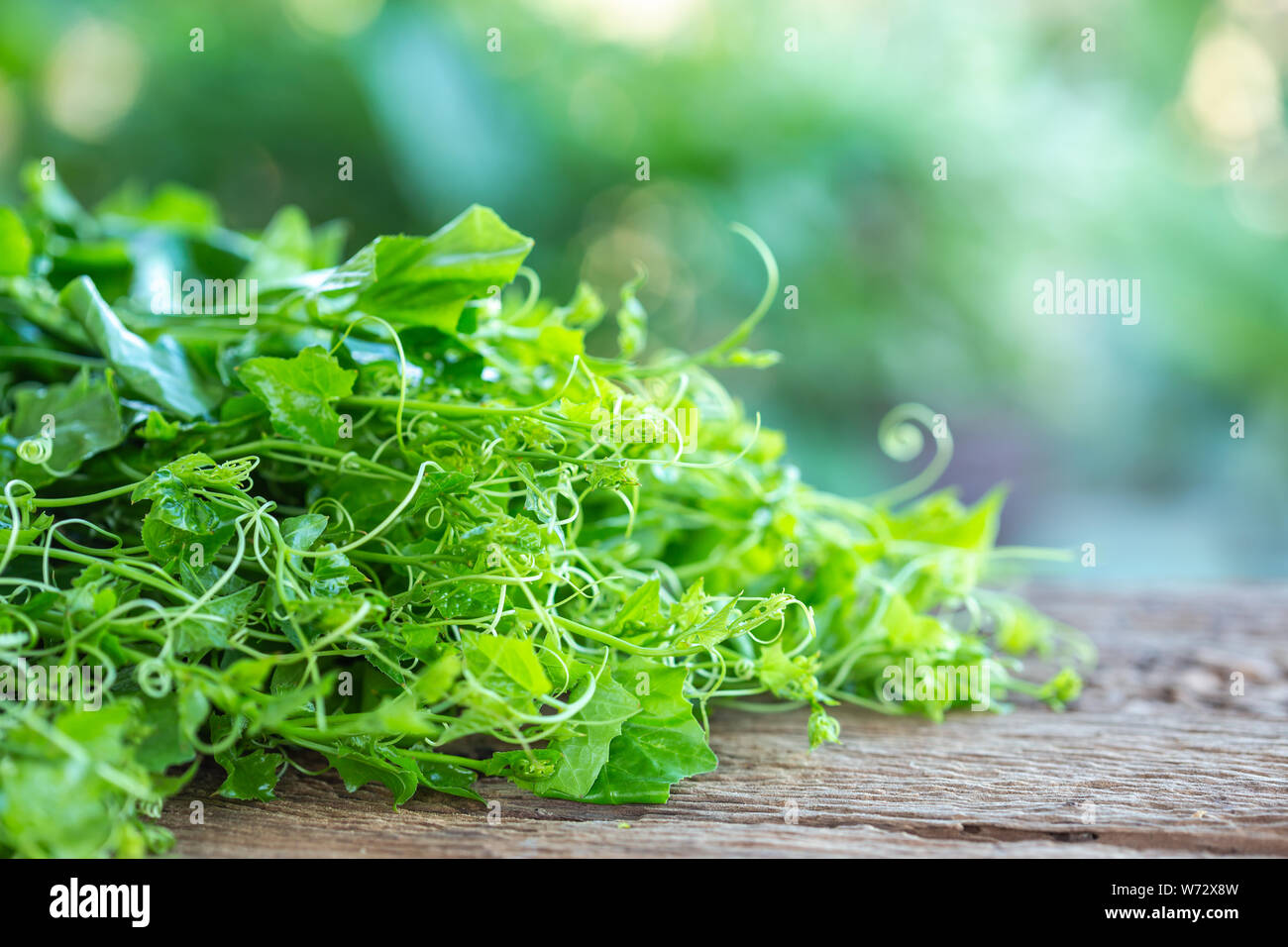 Close up fresh green basil leaf on wooden table background. Food concept Stock Photo