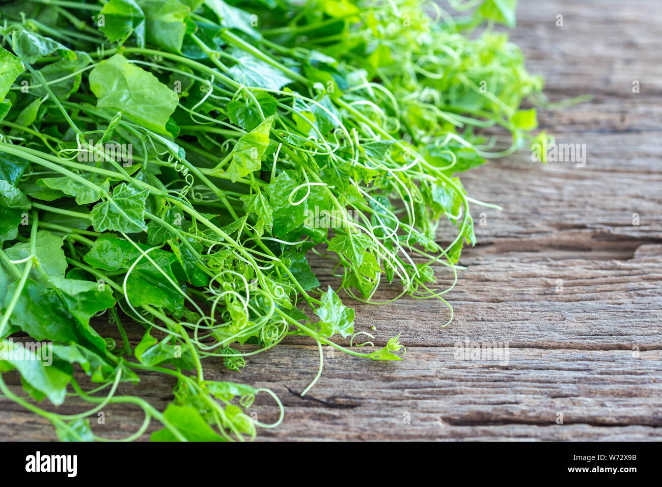 Close up fresh green basil leaf on wooden table background. Food concept Stock Photo