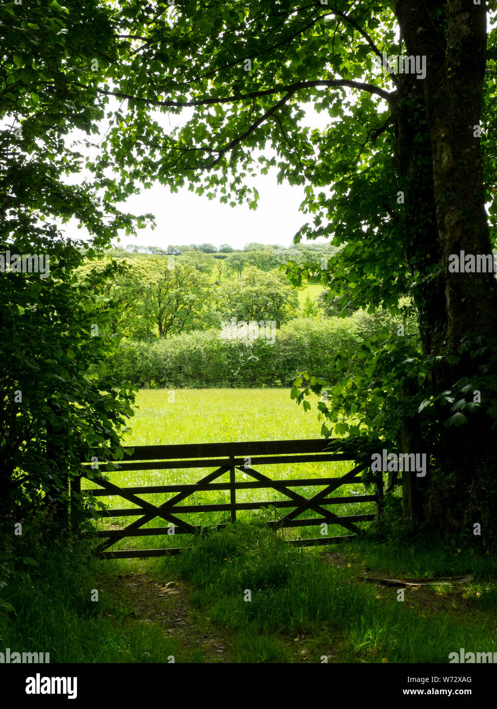 Wooden farm gate at entrance to field, UK Stock Photo