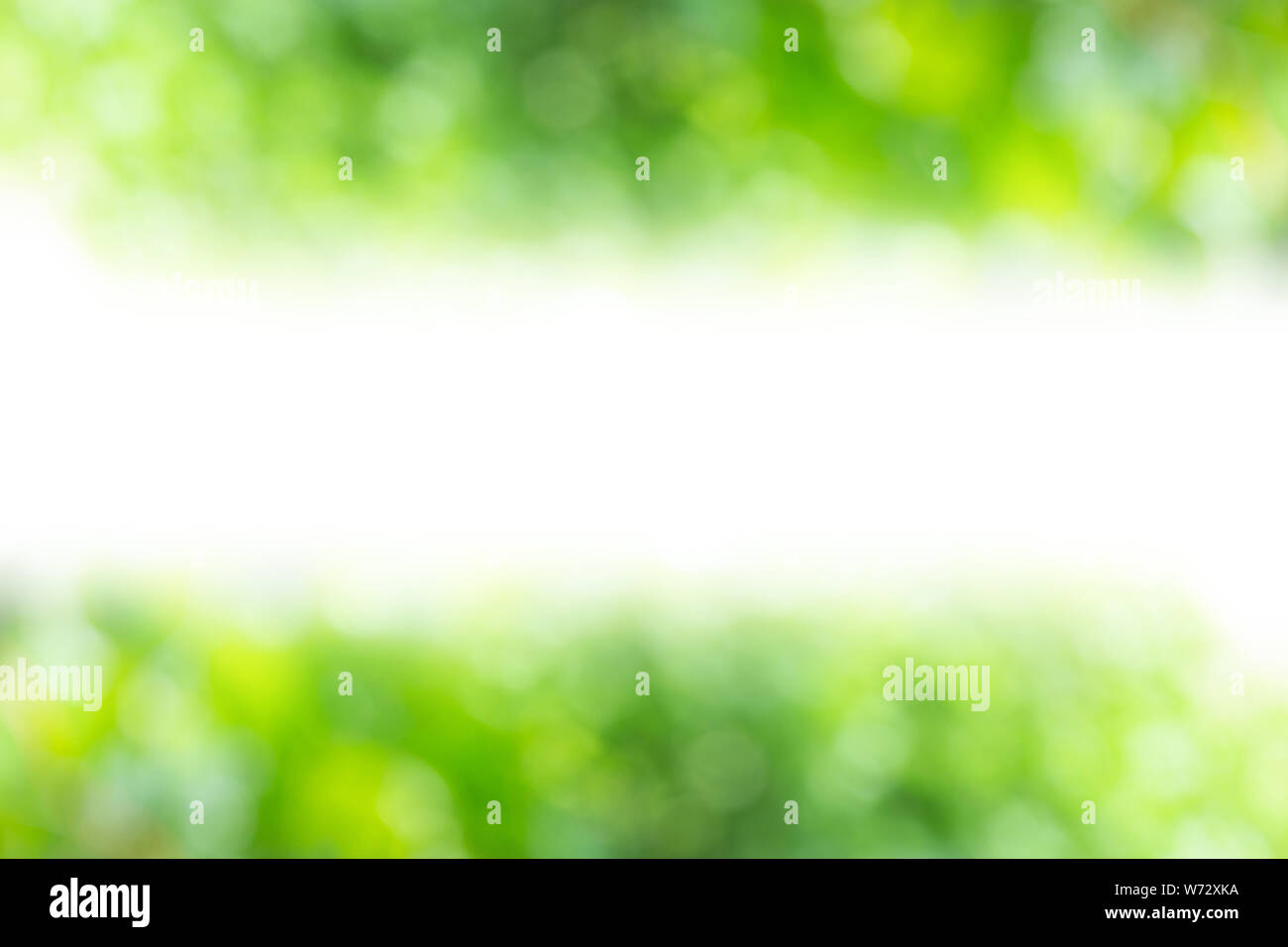 Blurred background : Green abstract of blur nature sunlight with white middle free space for design Stock Photo