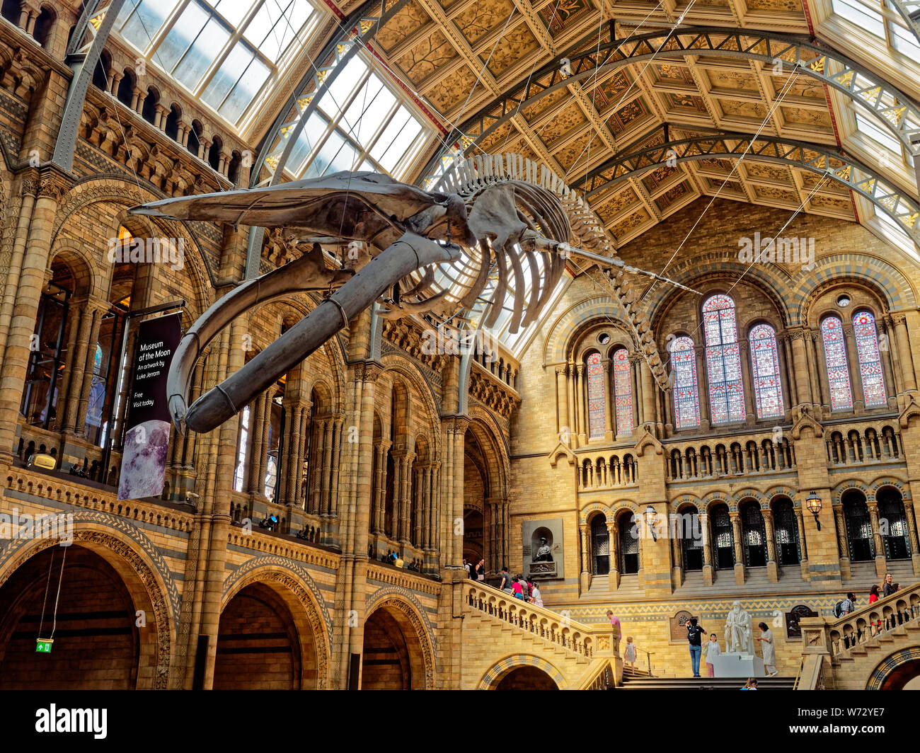 The blue whale skeleton exhibit known as Hope at the Natural History Museum Stock Photo